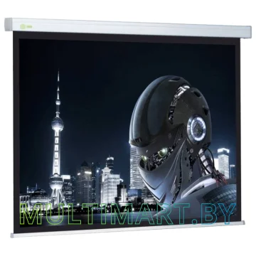 Проекционный экран CACTUS Wallscreen CS-PSW-127X127